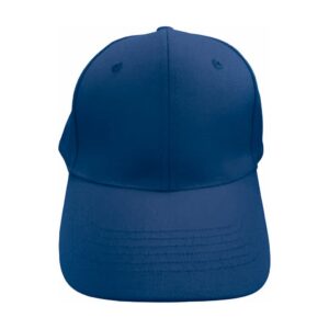 Cap Adult 6 Panel Cotton Blank Blue DTF Embroidery Front